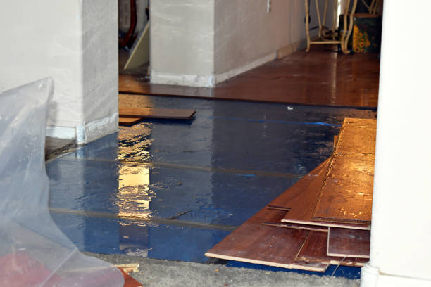 Professional Water Damage Restoration technician working in Lockport, LA